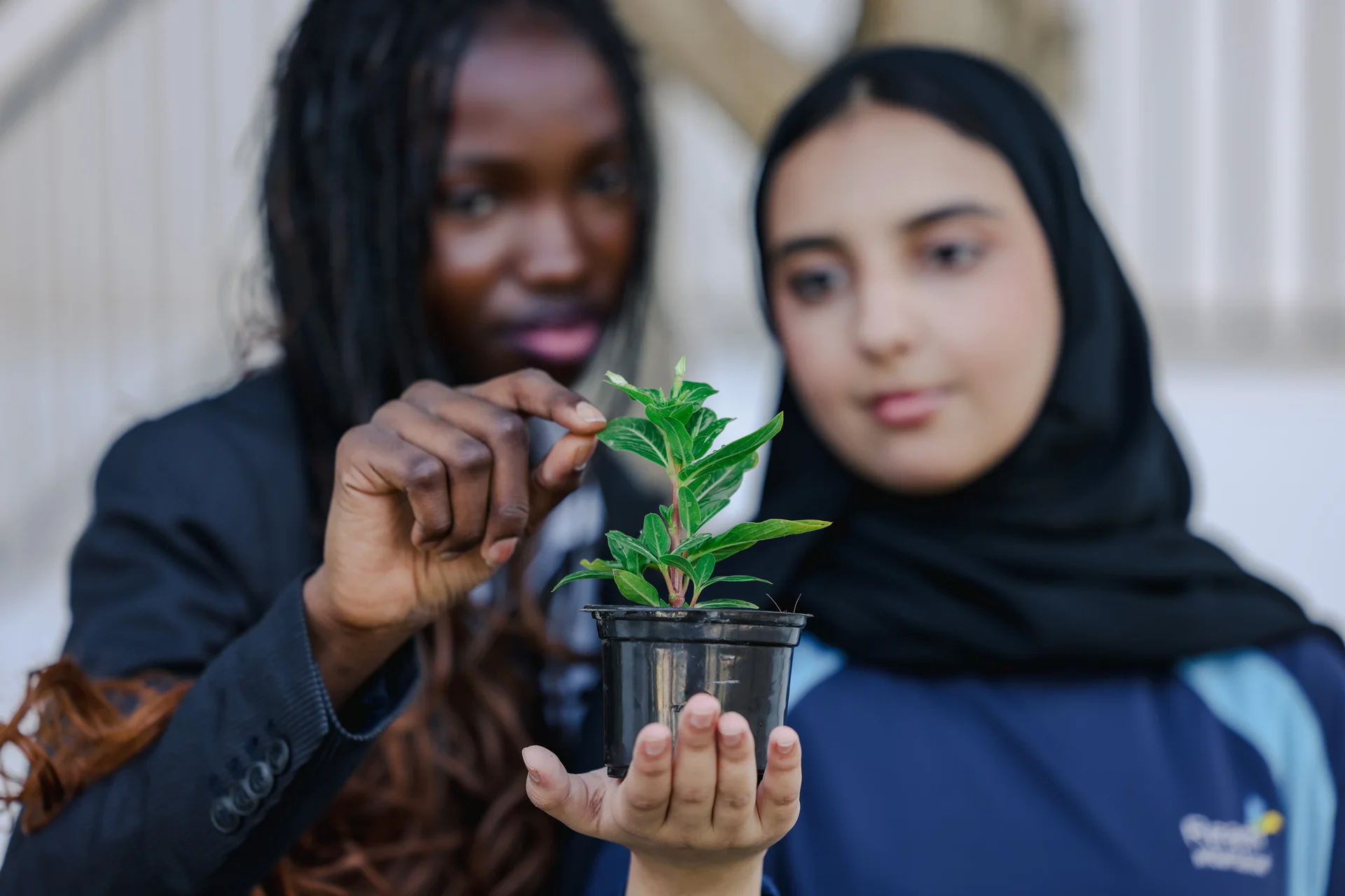 ISP Tomorrow's Leaders