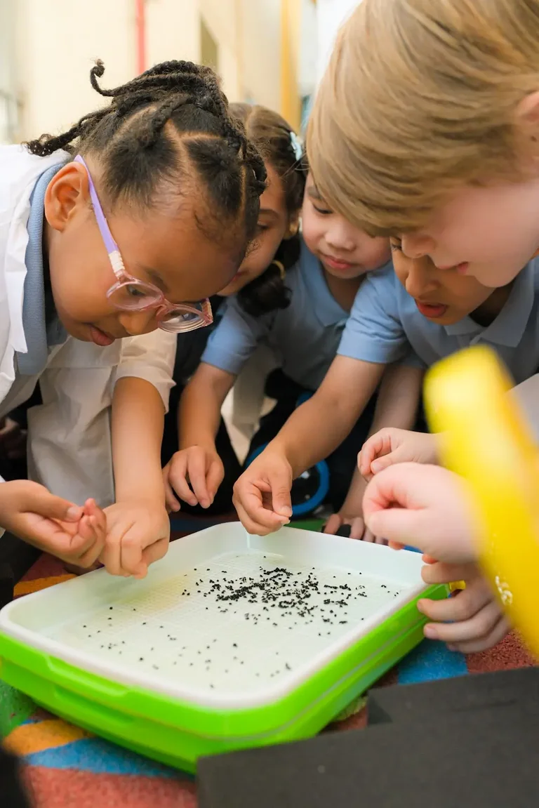 ILOS - ECO – Greenfingers