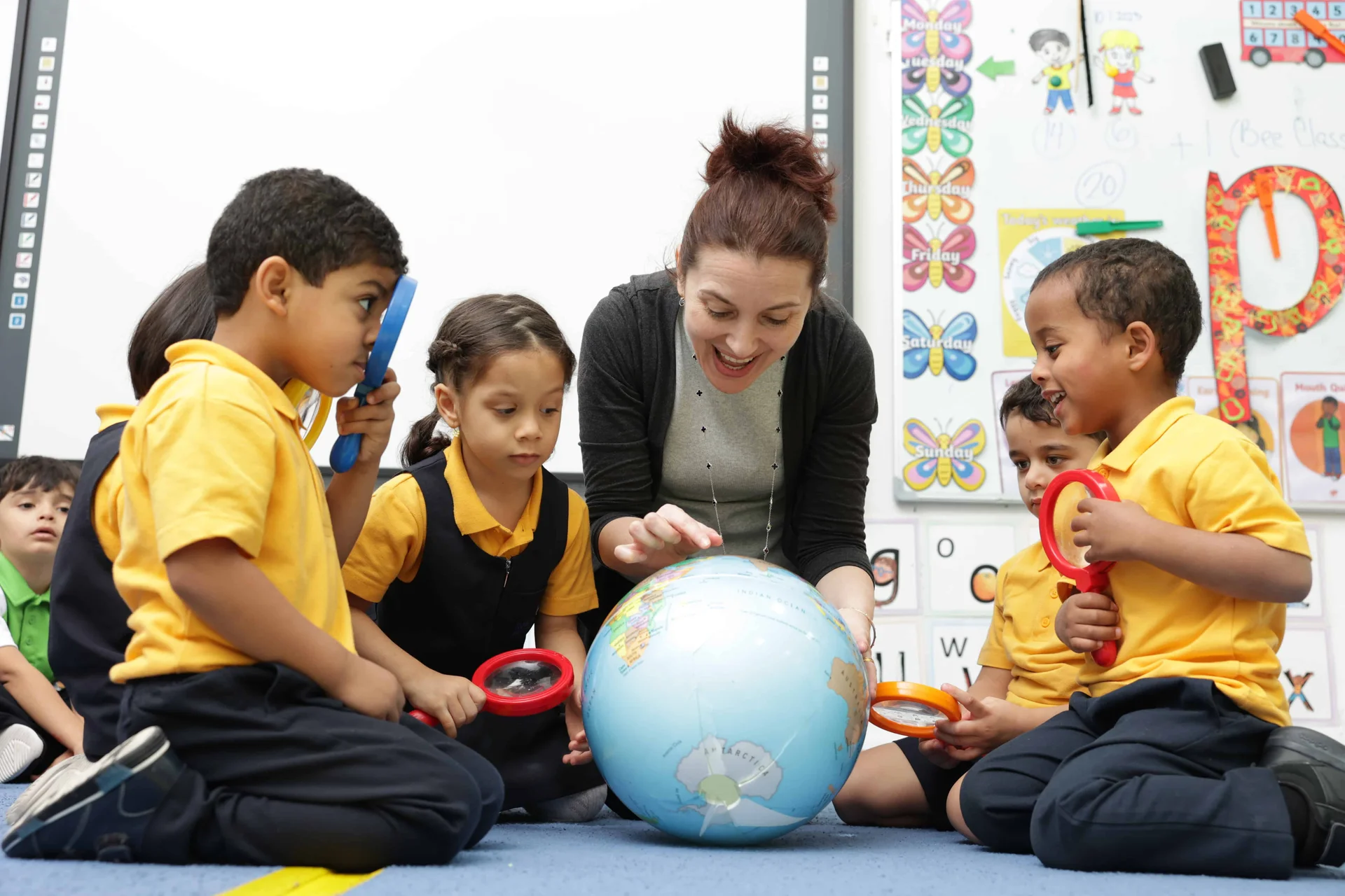 Professional License